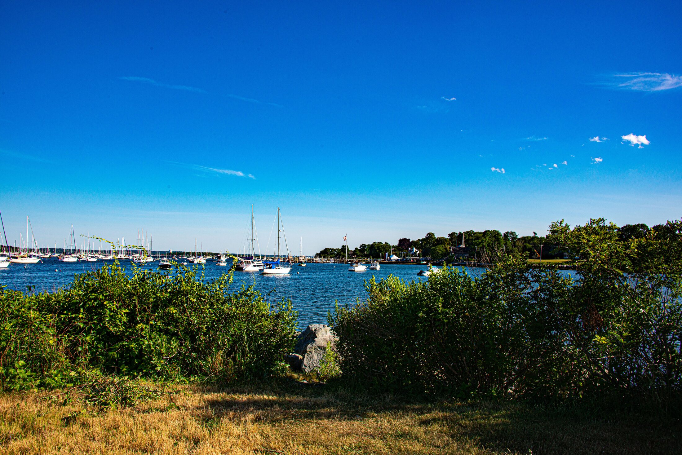 Bright shoreline and harbor view