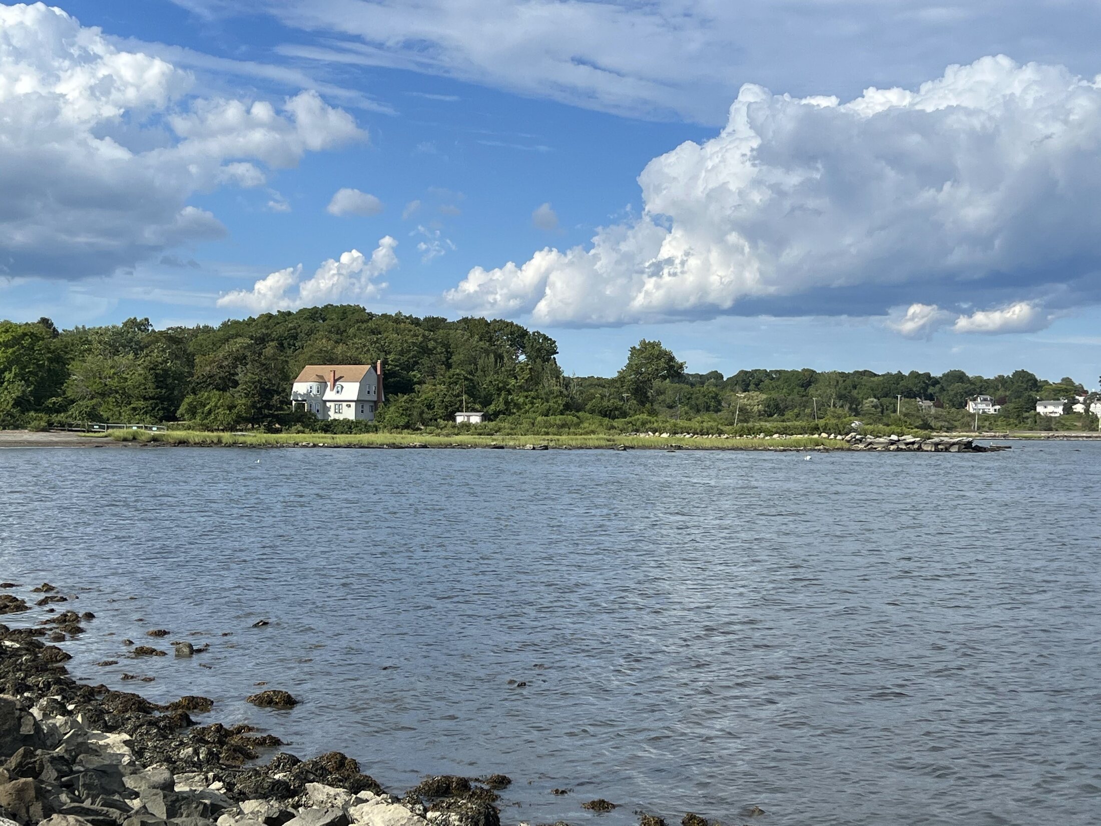 Harbor landscape